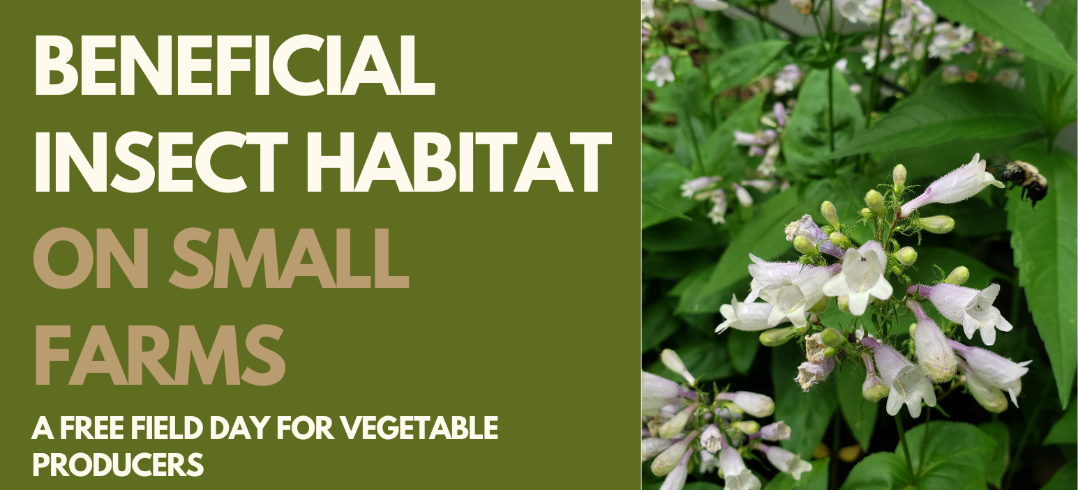 Beneficial Insect Habitat on Small Farms - Indiana Small Farms Conservation