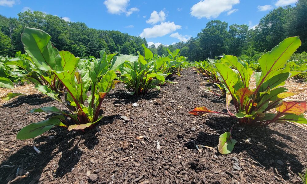 On-Farm Compost Use Survey